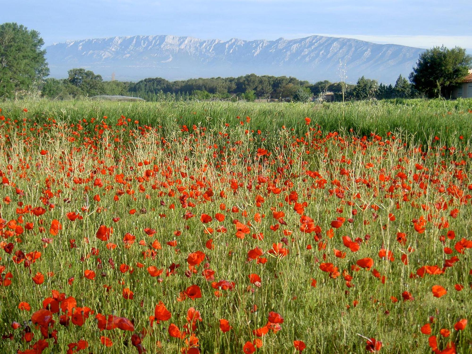 Le Deffend Vieux Panzió Trets Kültér fotó